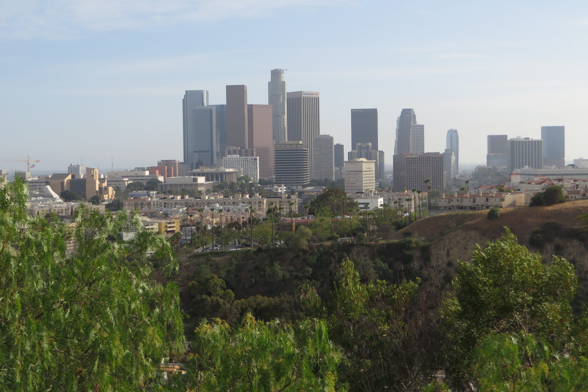 The downtown Los Angeles skyline seen across the wooded Chavez Ravine hillside from Dodger Stadium
